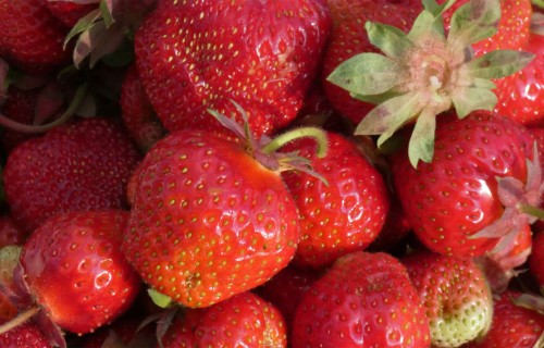 Augļu džemos, želejās un marmelādēs turpmāk būs vairāk augļu