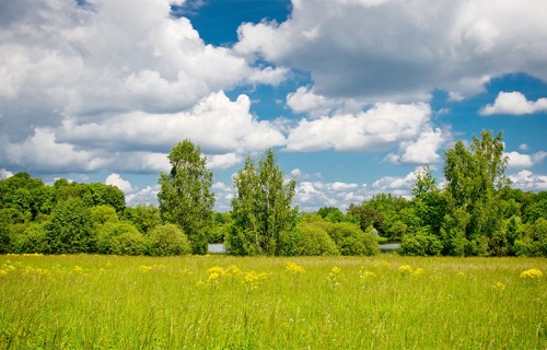 No 14. aprīļa lauksaimnieki varēs pieteikties platību maksājumiem