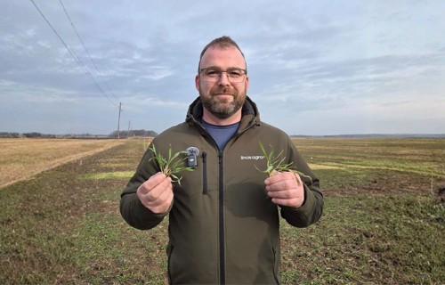 Gandrīz piektdaļa lauksaimnieku gatavi investēt kvalitatīvās sēklās