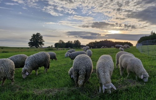 Saīsināts pieteikšanās termiņš atbalstam preventīvajiem ieguldījumiem
