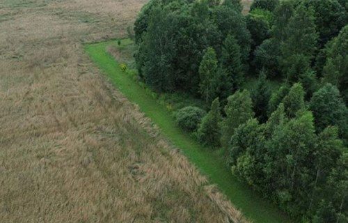 Ja atbalstam pieteiktas zaļās joslas, tās jāveido un jāapsaimnieko pareizi