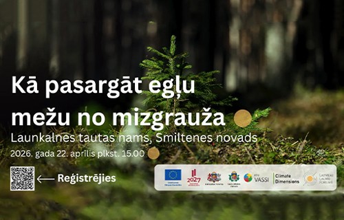 Kā pasargāt egļu mežu no mizgrauža?