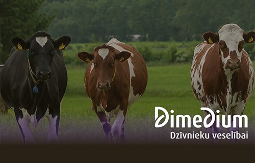 🐄 Seminārs lopkopjiem: Dabiski veselīga govs nav nejaušība