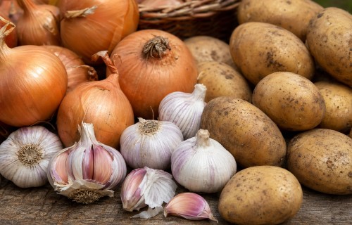 Dārzeņkopība – sīpolu, ķiploku, kartupeļu audzēšana