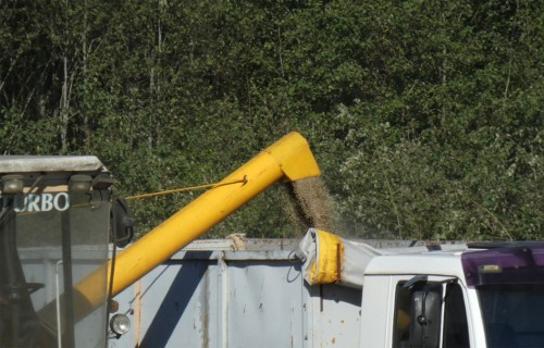 Jaunie lauksaimnieki turpmāk saņems lielāku un administratīvi vienkāršāku atbalstu uzņēmējdarbības sākšanai