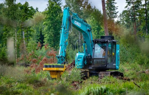 Izsludināts konkurss mašinizētās meža stādīšanas darbu veikšanai 2027.–2029. gadā