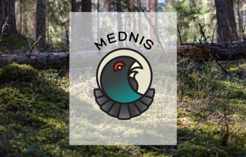 Atjaunota lietotnes "Mednis" datu nosūtīšanas funkcionalitāte