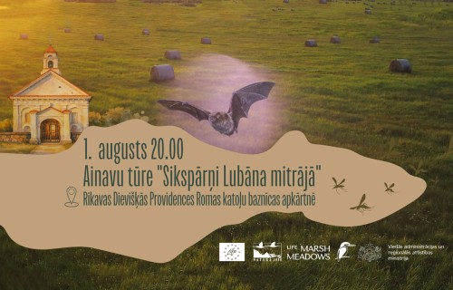 Latvijas Dabas fonds Ainavu tūrē aicina iepazīt Lubāna mitrājā dzīvojošus sikspārņus