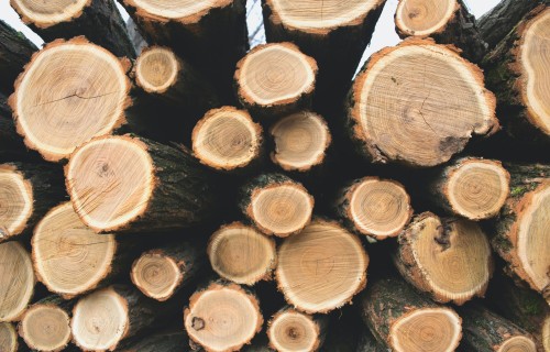 Meža produktu imports pērn 11 mēnešos samazinājies par 0,7%