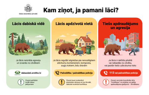 Ko darīt, ja pamani lāci? Dabas aizsardzības pārvalde aicina iedzīvotājus ziņot atbilstoši situācijai
