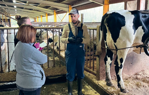 Profilakse un komandas darbs – veterinārijas loma mūsdienīgā lopkopībā