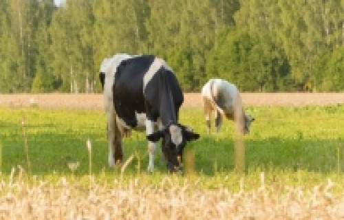 Agrovides pasākumos varēs uzņemties jaunas saistības