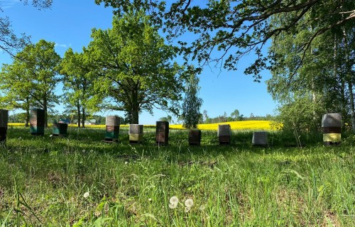 Par kopīgu saimniekošanu un līdzāspastāvēšanu lauksaimniecībā