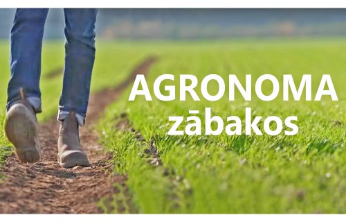 AGRONOMA ZĀBAKOS - 2.sezona 1.sērija