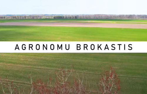 AGRONOMU BROKASTIS #22