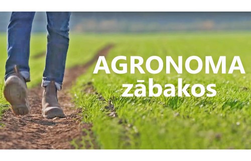 Agronoma Zābakos - 2. sezona 5.sērija