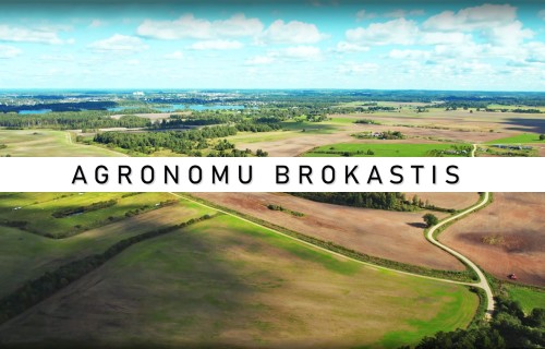 AGRONOMU BROKASTIS #25 Rudens akcenti