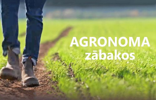 10. sērija Agronoma Zābakos - 2. sezona
