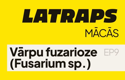 Vārpu fuzarioze | LATRAPS mācās S3 EP9