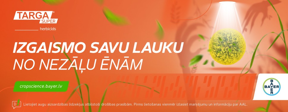 Bayer
