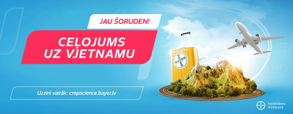 Bayer