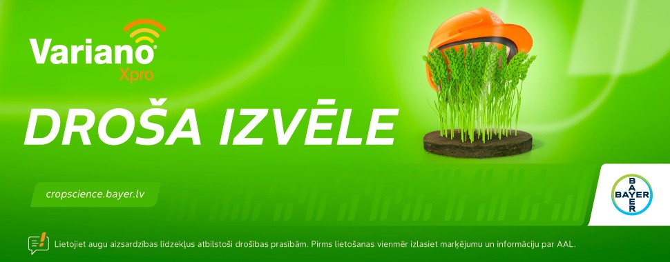 Bayer